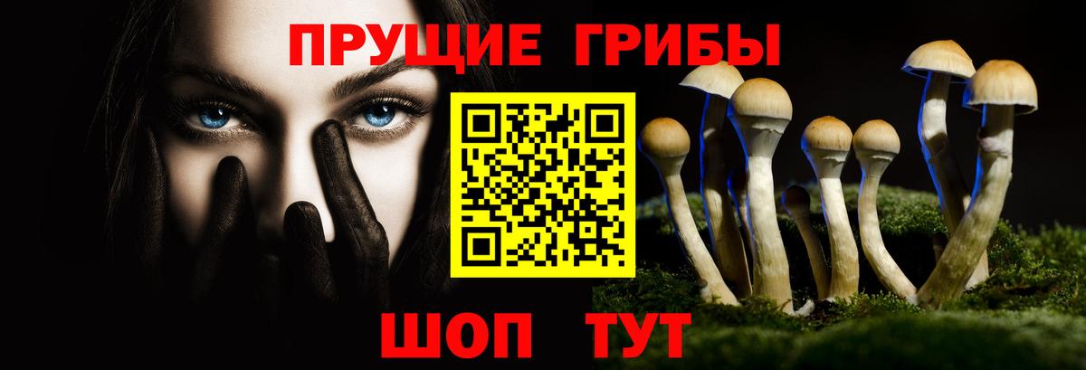 Галлюциногенные грибы GOLDEN TEACHER  Вход с VPN  Таганрог 